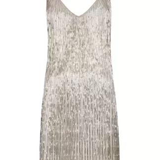 Women Javier Osorio Athena Silver Dress