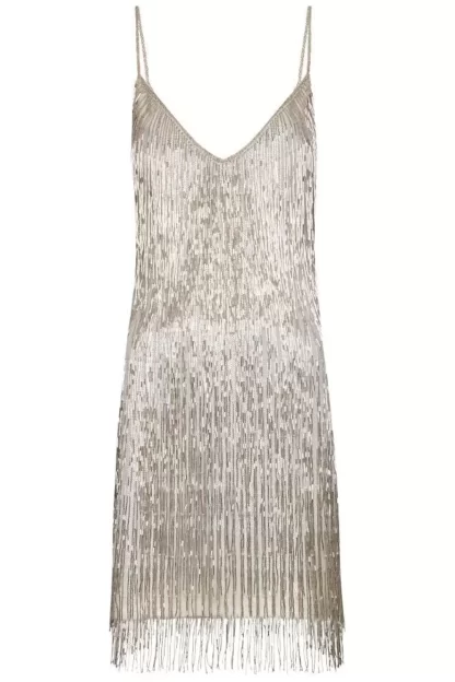 Women Javier Osorio Athena Silver Dress