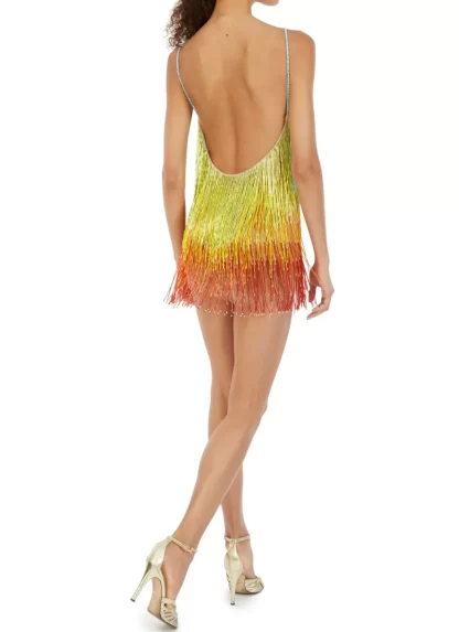 Women Javier Osorio Technicolor Dress