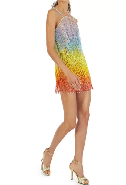 Women Javier Osorio Technicolor Dress