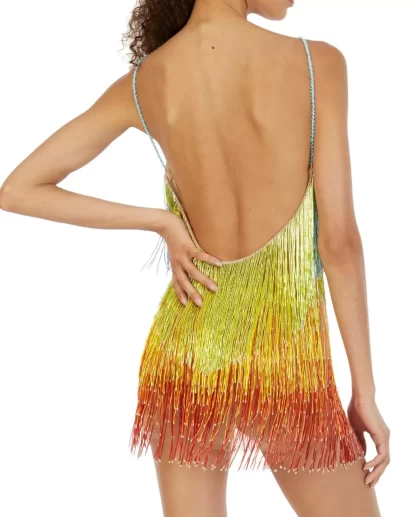 Women Javier Osorio Technicolor Dress